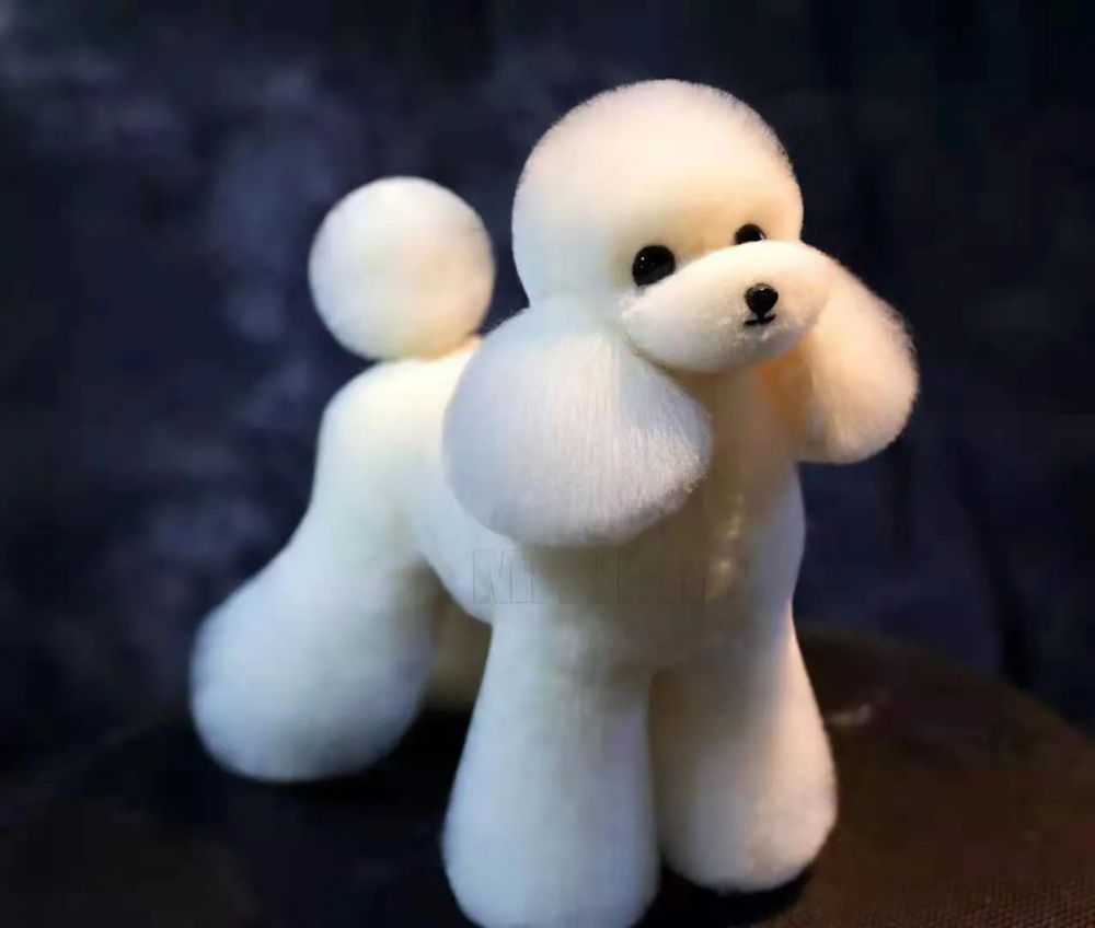 Manekin Teddy Body model Mr Jiang – zdjęcie 3