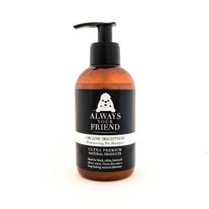 Rozjaśniający szampon Always Your Friend Organic Brightness Shampoo 250ml koncentrat 1:20