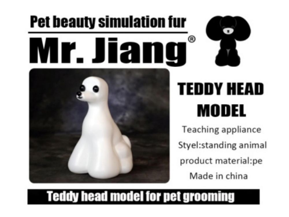 Manekin główa Teddy Head Mr Jiang – zdjęcie 2