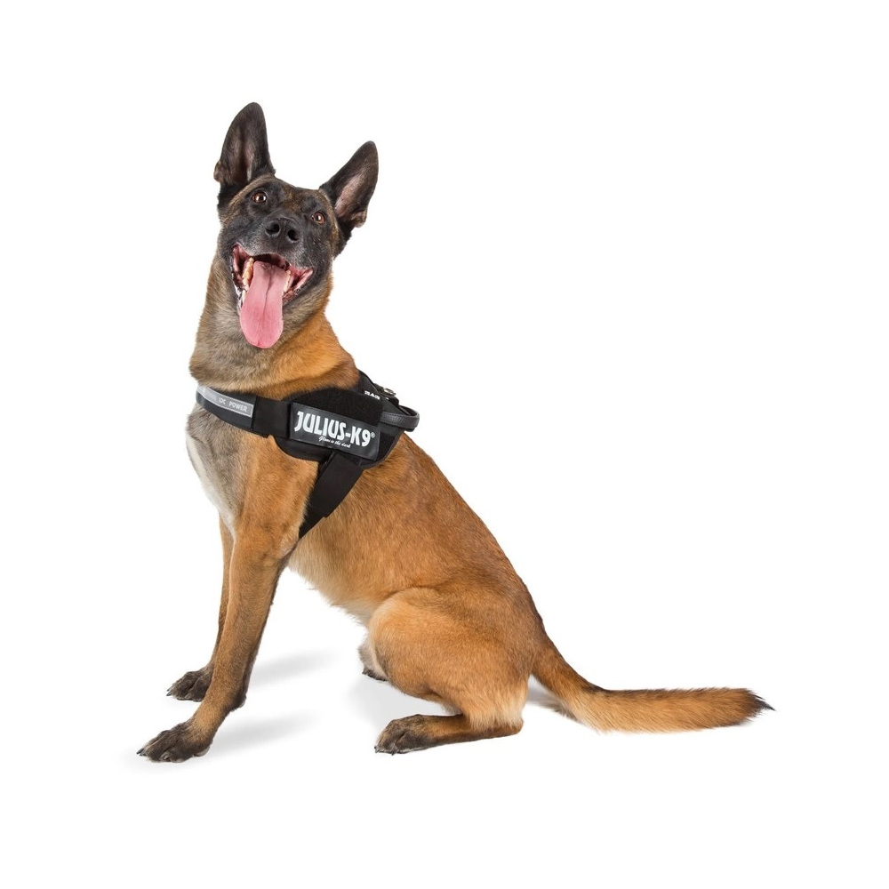 Szelki Julius K9 niebieskie rozmiar 1 63-85cm IDC Power 23-30kg – zdjęcie 2