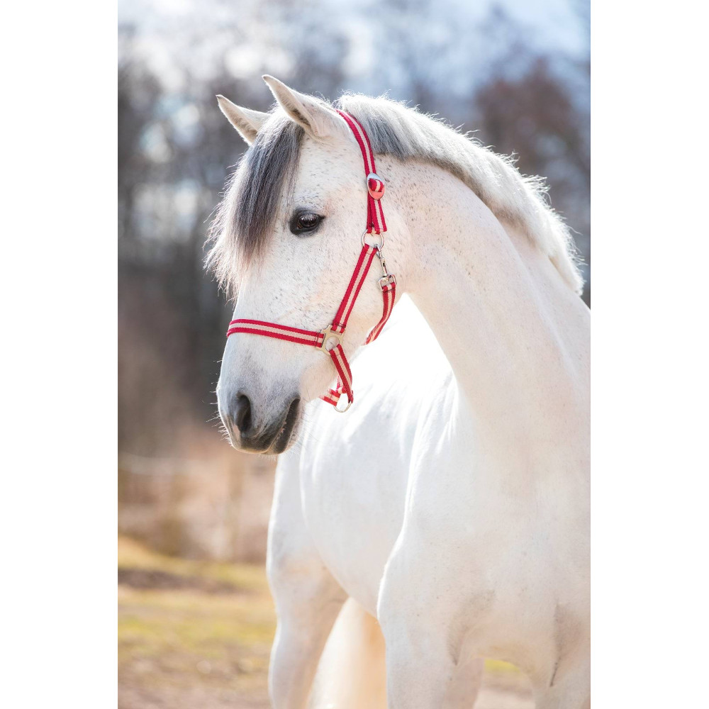 Kantar dla konia Hippo Cob Covalliero