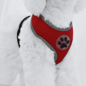 Szelki dla psa S klatka 40 cm