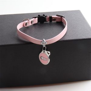 Obroża z zawieszką dla psa i kota 28 cm