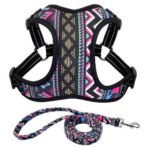 Stylowy komplet szelki i smycz dla psa rozmiar L 65-78cm
