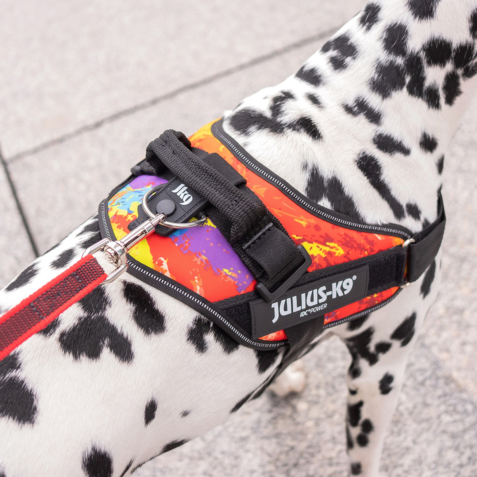 Szelki Julius K9 Crazy #2 71-96 cm IDC Power 28-40kg – zdjęcie 2