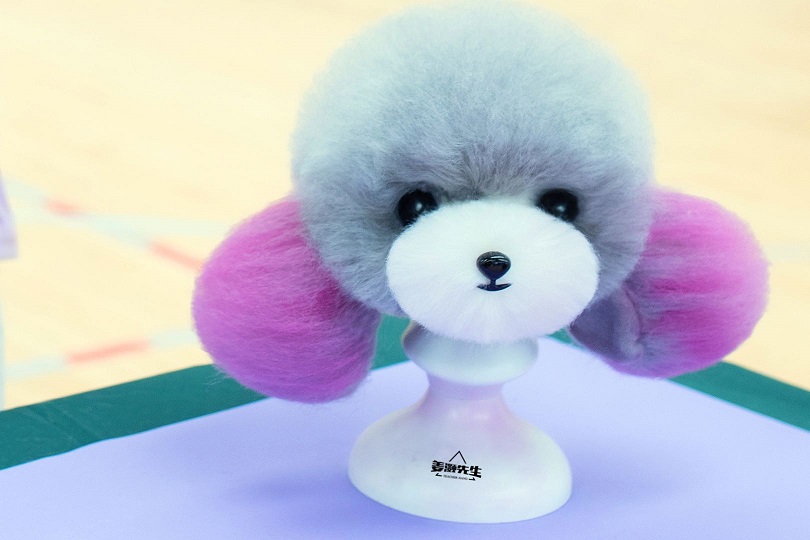 Manekin głowa Teddy Mr Jiang – zdjęcie 3