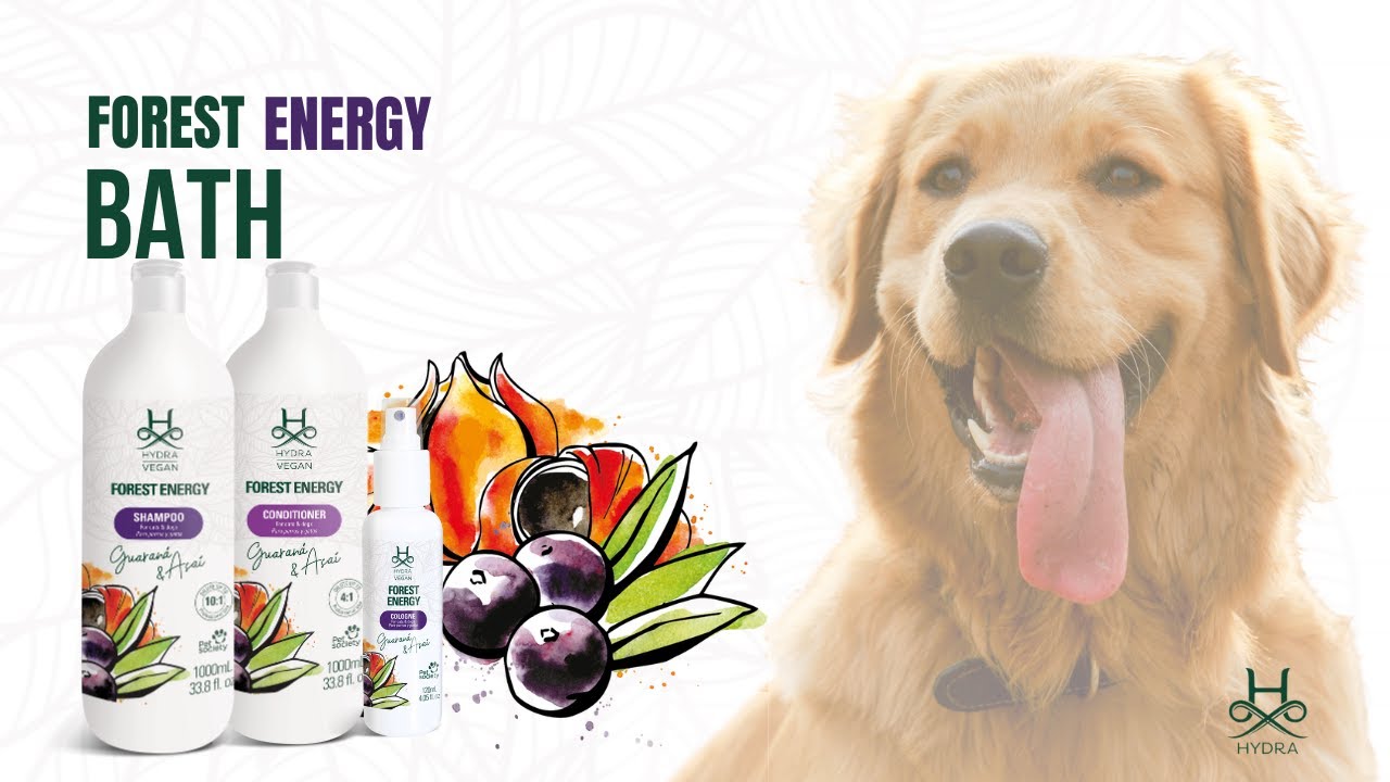 Kolekcja Hydra Vegan Forest Energy – zdjęcie 2