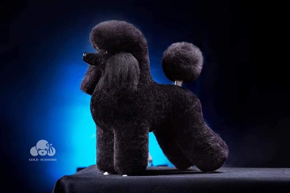 Włosy całe Poodle Lamb Clip wig Mr.Jiang black – zdjęcie 2