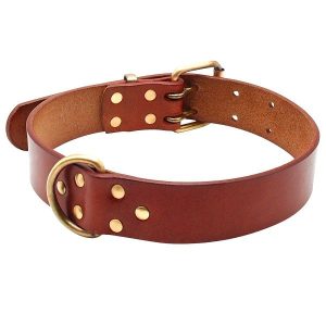 Obroża skórzana mocna XL 44-56 cm