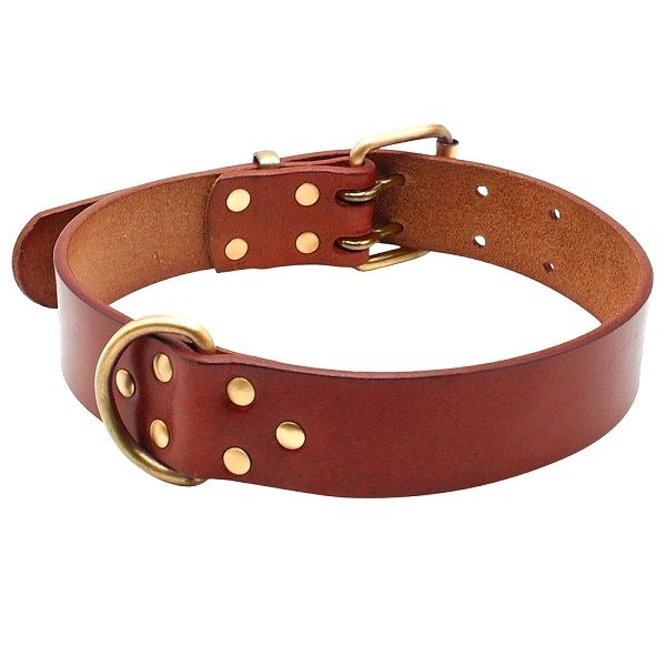 Obroża skórzana mocna XL 44-56 cm