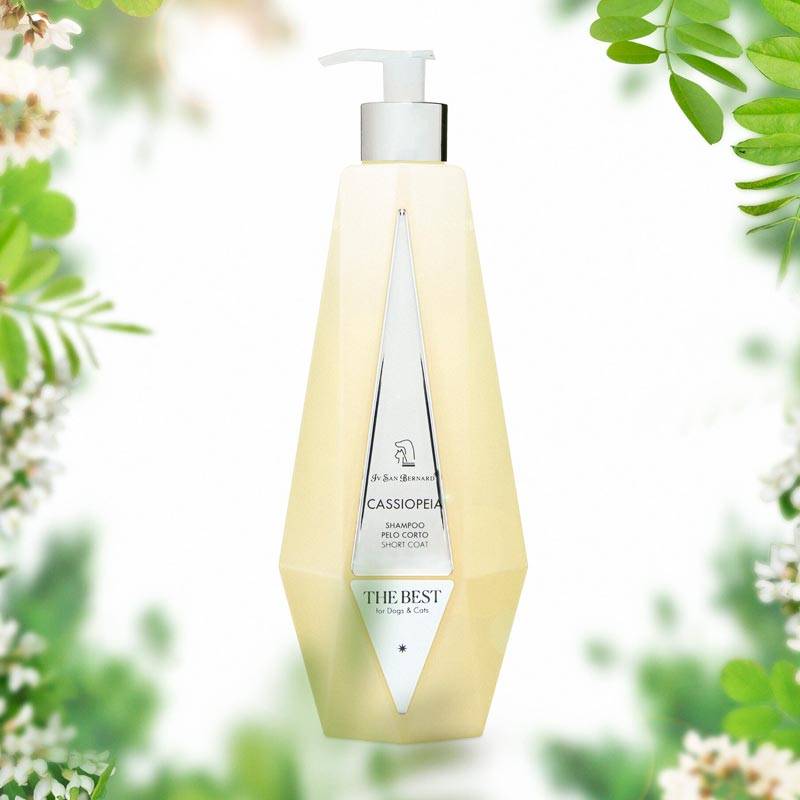The Best Cassiopeia Iv San Bernard szampon 550 ml – zdjęcie 2
