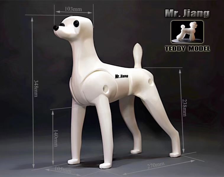 Manekin Teddy Body model Mr Jiang