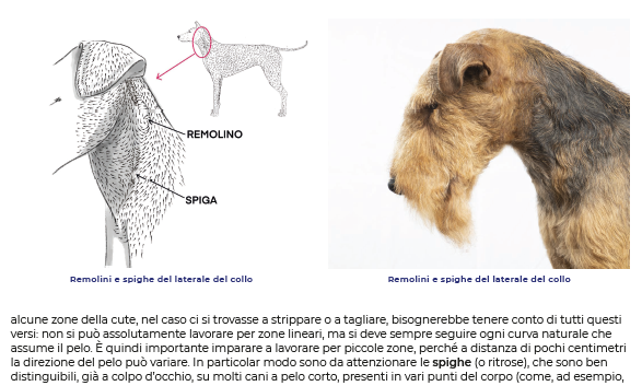 Trylogia Simply The Best Grooming Masterclass Paola Acco and Sarah Odette Genova – zdjęcie 2
