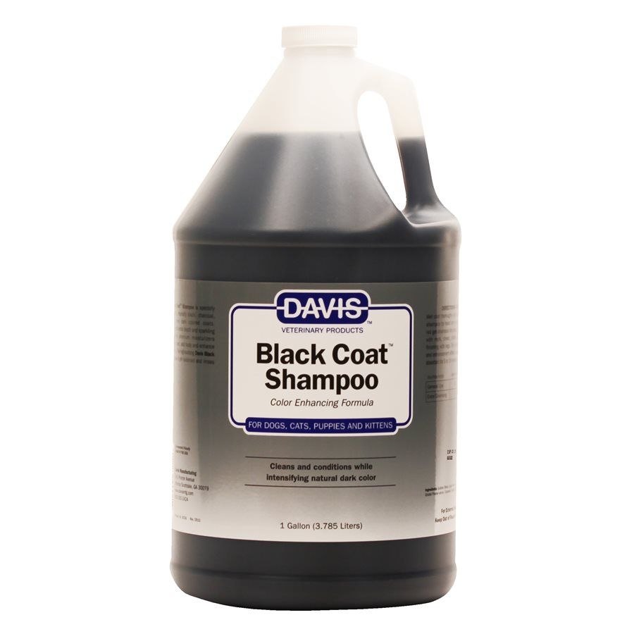 Szampon Black Coat Davis 3,8 L 1:10