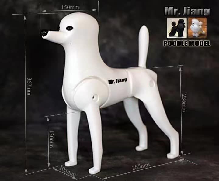 Manekin Poodle lamb body