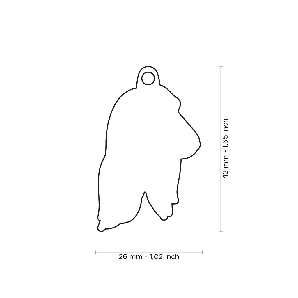 Adresówka dla psa zawieszka My Family Afghan Hound – zdjęcie 2