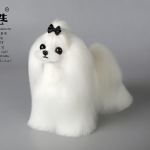 Włosy całe Maltese białe