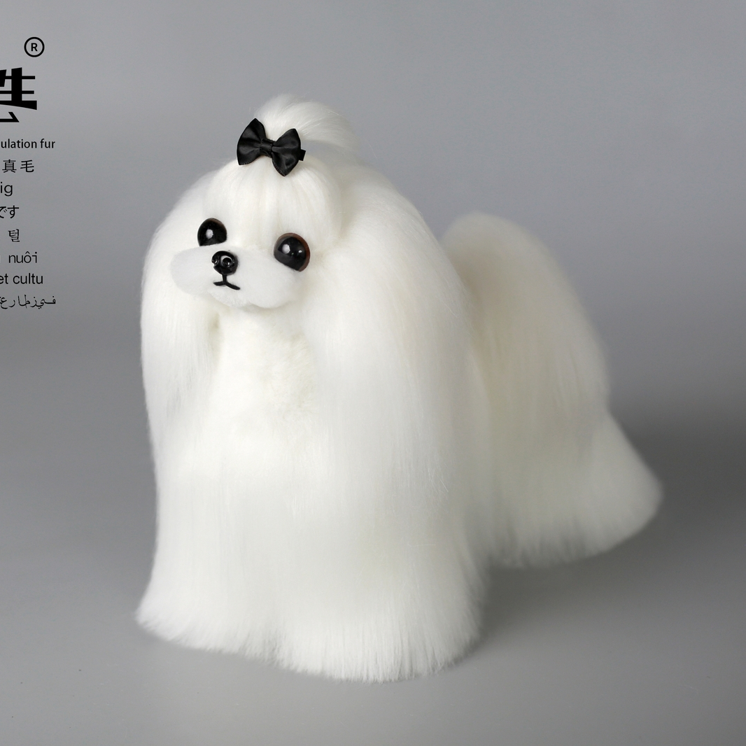Włosy całe Maltese białe