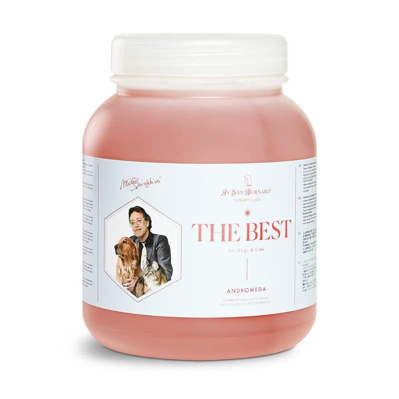 The Best Andromeda Iv San Bernard szampon 2,5 L