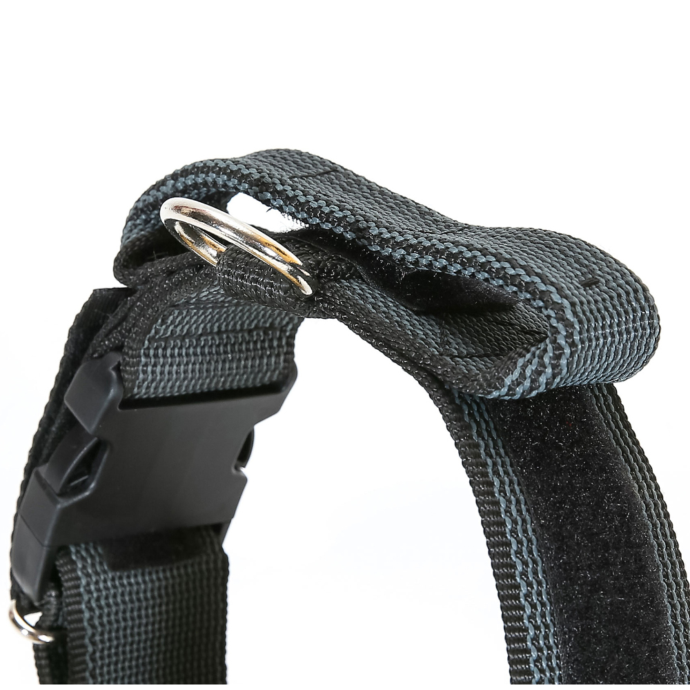 Julius K9 obroża czarna S 38-53cm – zdjęcie 2