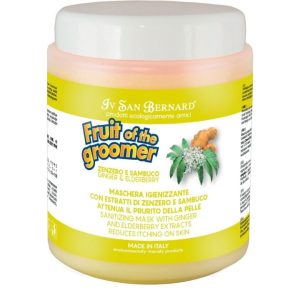 Odżywka Fruit Ginger & Elderbery 1 L Iv San Bernar