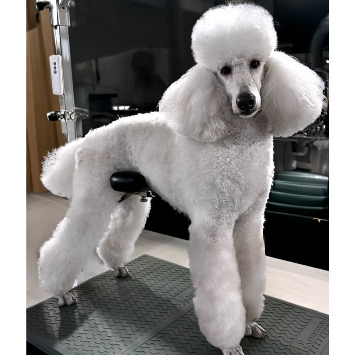 Podpórka z poduszką pod głowę/biodra Groom-X Comfort Rest – zdjęcie 6