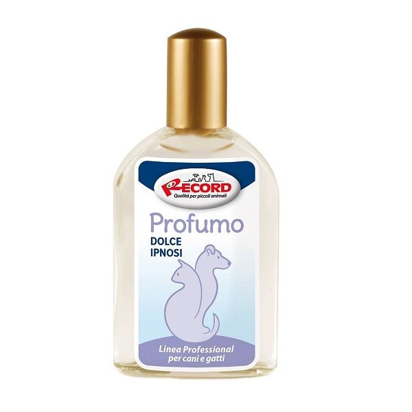 PERFUMY DLA PSA RECORD DOLCE IPNOSI 100 ML