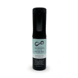 Bezalkoholowa woda perfumowana Always Your Friend Infinity The Forever Spray 90 ml