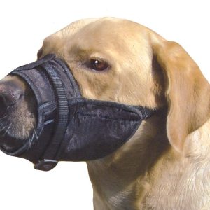 Kaganiec dla psa nylonowy rozmiar M