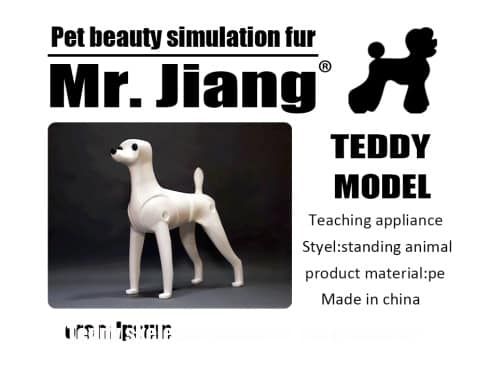 Manekin Teddy Body model Mr Jiang – zdjęcie 2