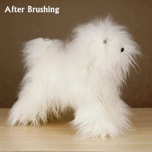 Włosy białe Toy Poodle Opawz DW01-1