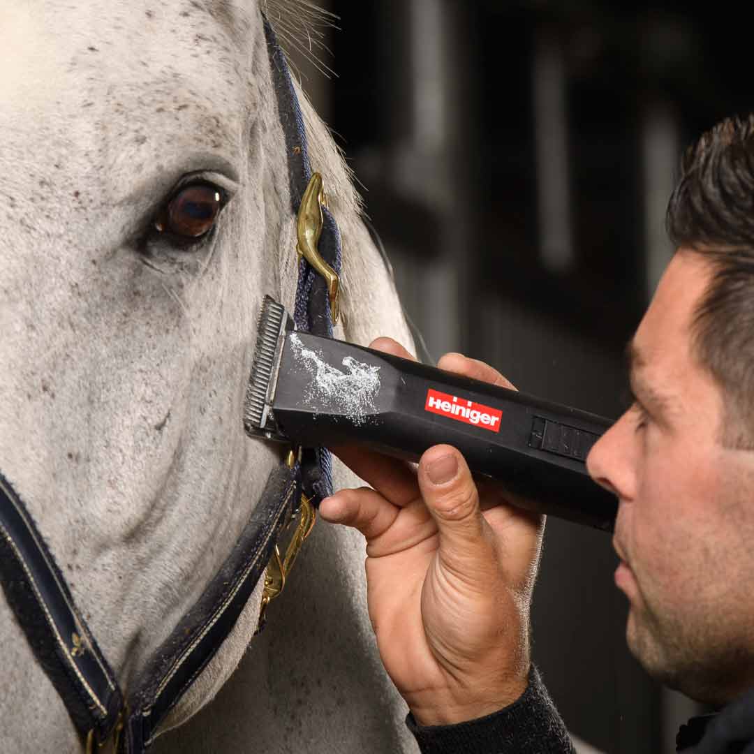 Heiniger Saphir Horse - maszynka do golenia koni i bydła – zdjęcie 6