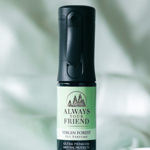 Bezalkoholowa woda perfumowana Always Your Friend Virgin The Forever Spray 90 ml