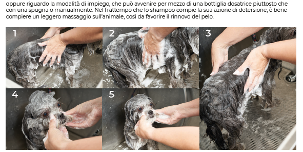 Trylogia Simply The Best Grooming Masterclass Paola Acco and Sarah Odette Genova – zdjęcie 3