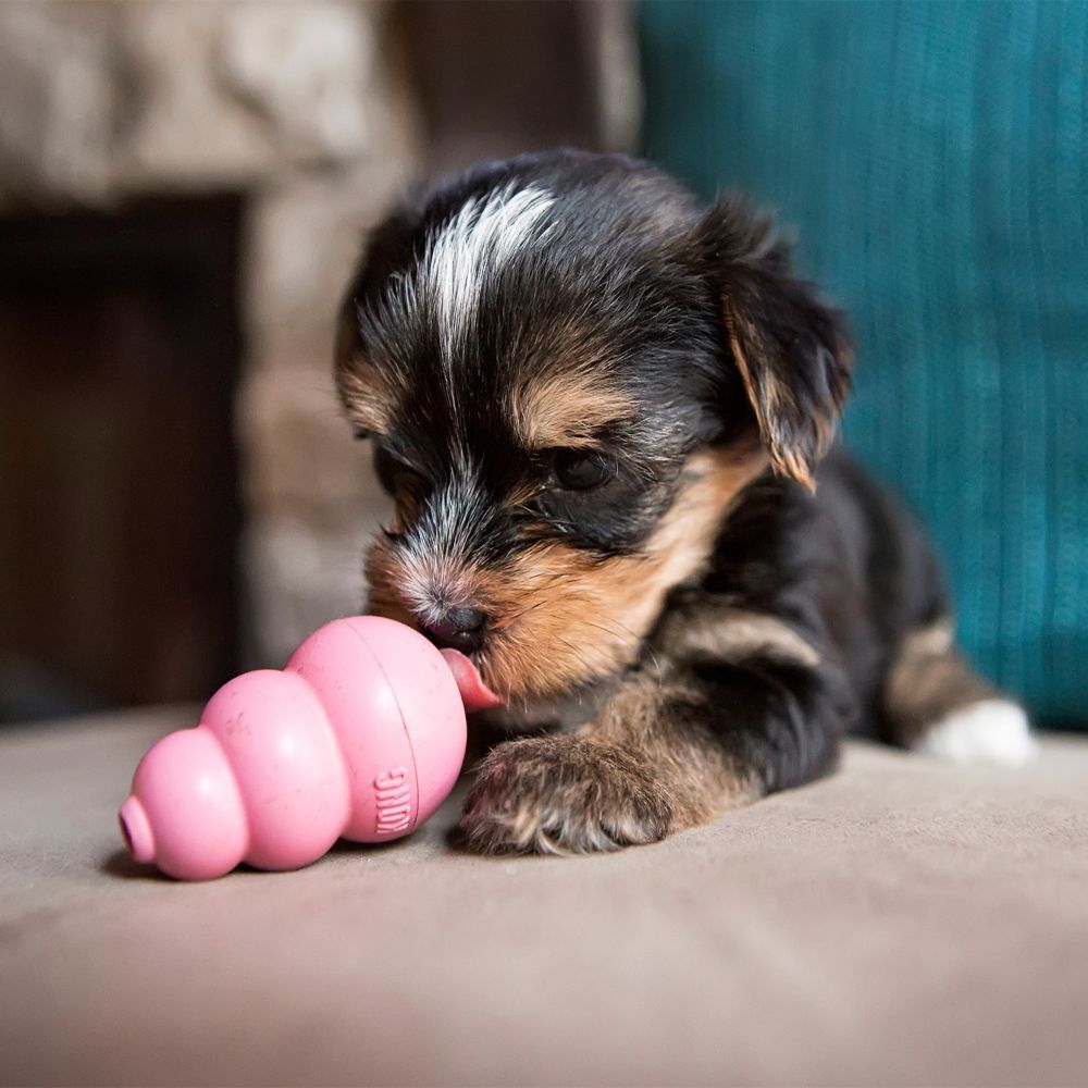 Kong Puppy zabawka dla psa S – zdjęcie 2