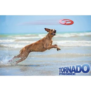 Frisbee dla psa 23x23x2 cm zabawka do aportowania