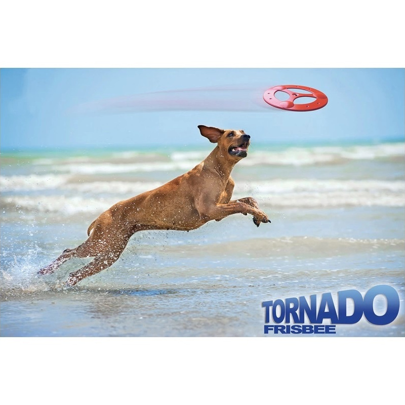 Frisbee dla psa 23x23x2 cm zabawka do aportowania