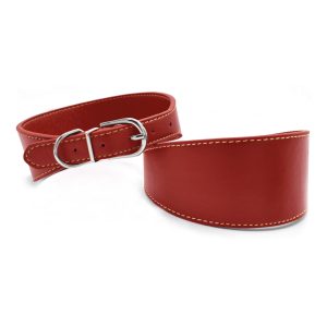 Obroża dla chartów S 5 x 28-36 cm czerwona
