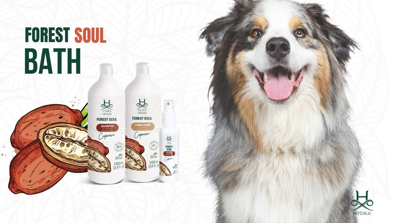 Odżywka nawilżająca Hydra Vegan Forest Soul condition 1L koncentrat 1:4 – zdjęcie 2