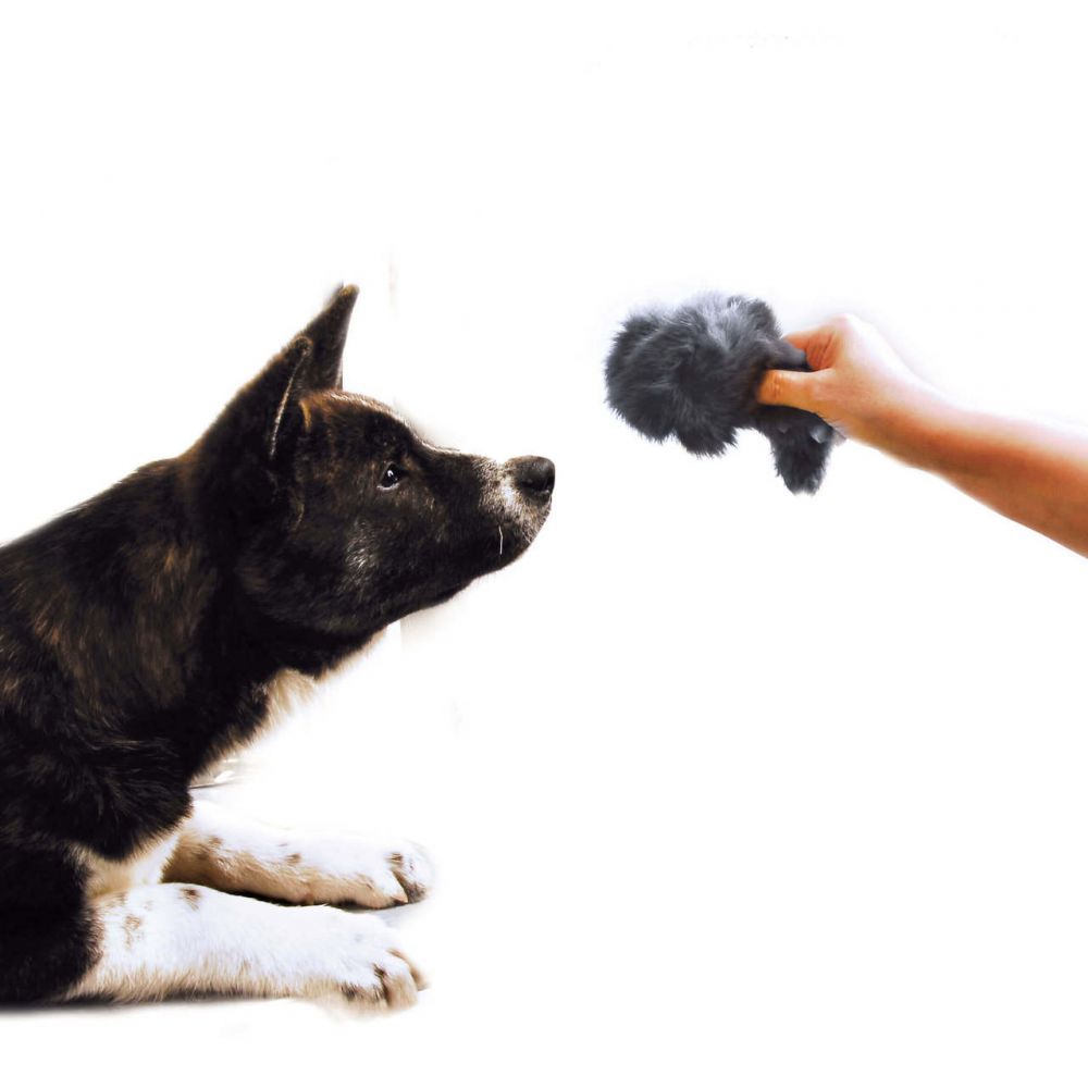 Futrzana pistrzałka zabawka Squeaky fur Mouse Toy – zdjęcie 2