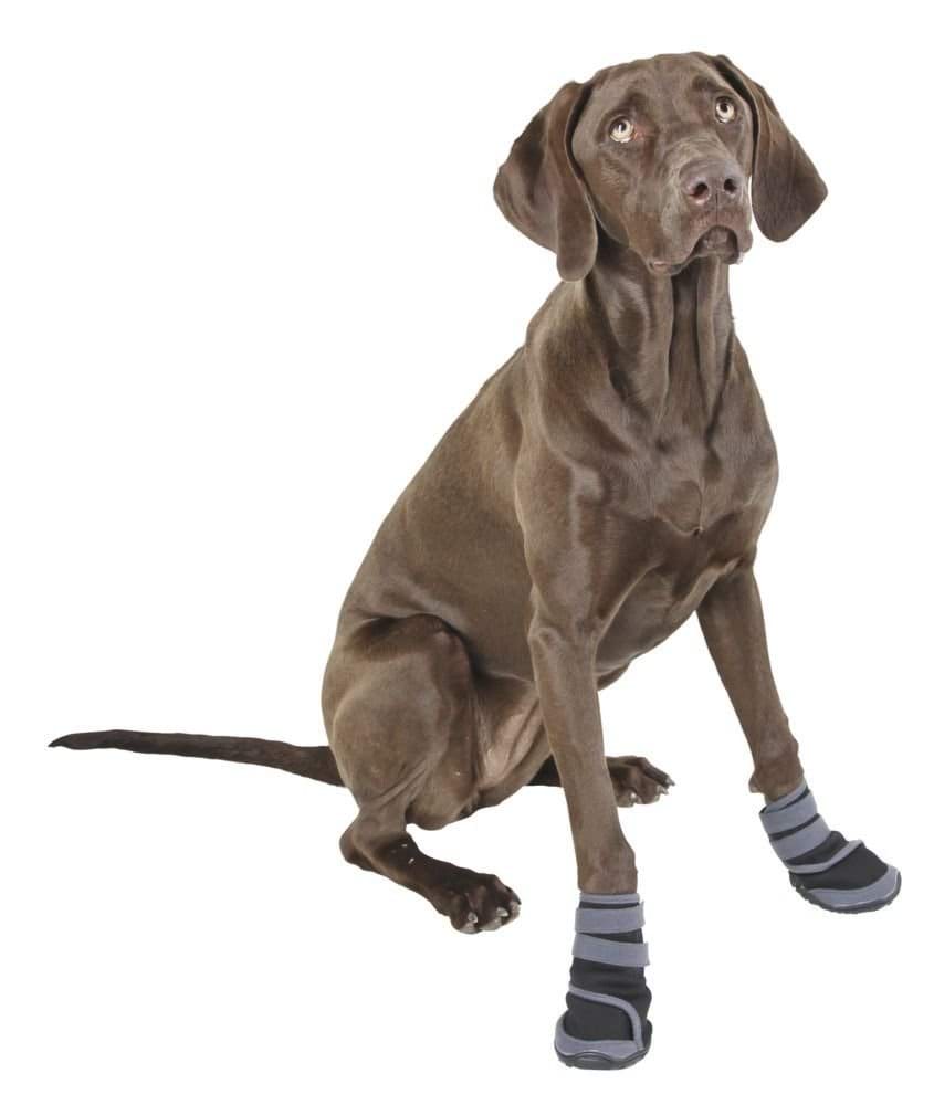 Ochronne buty dla psa rozmiar S szerokość 6,0 cm – zdjęcie 3