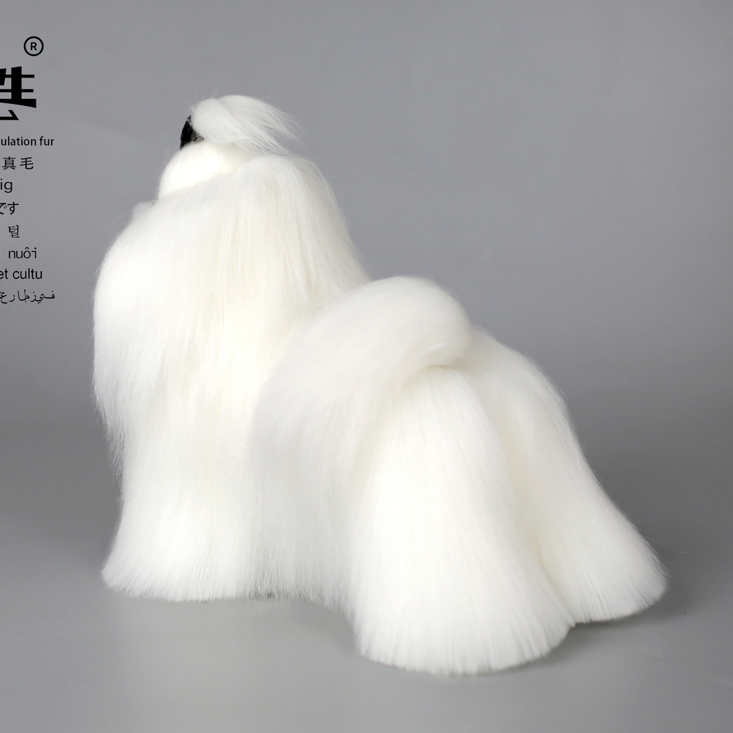 Włosy całe Maltese białe – zdjęcie 2