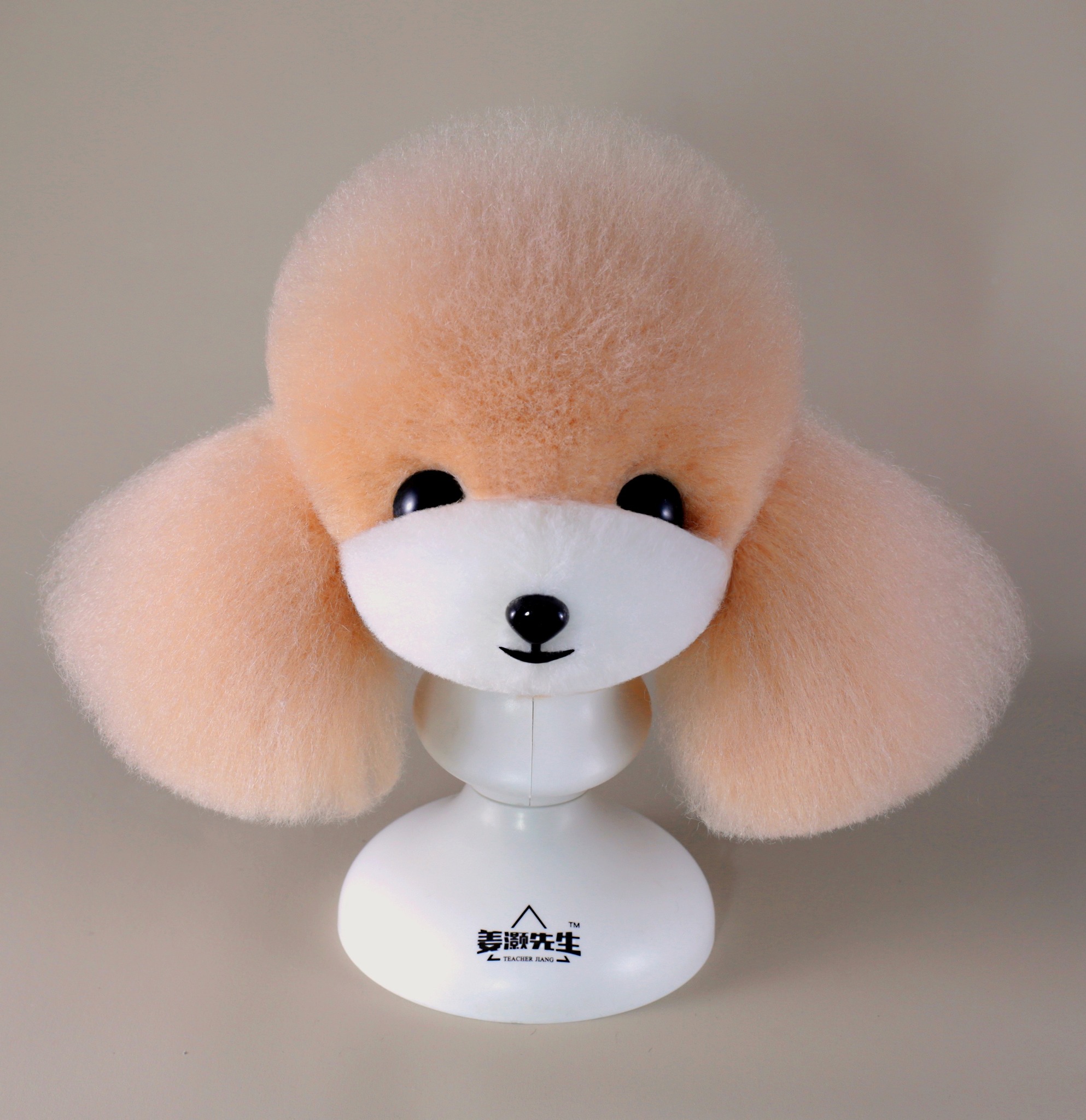 Manekin głowa Teddy Mr Jiang – zdjęcie 4