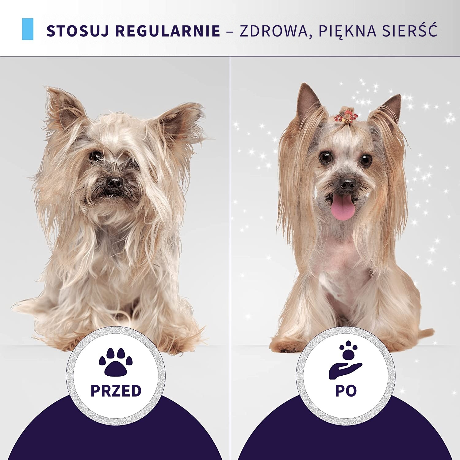 Hydra X-Treme – szampon głęboko oczyszczający dla psów i kotów, 5 L, koncentrat 4:1 – zdjęcie 3